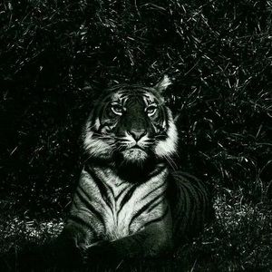 Meet your Posher, Derrick